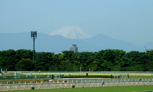 競馬場の達人 内田裕也 06 11 19 競馬sevendays