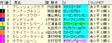 オールカマー2020　枠順確定ラップギア適性値