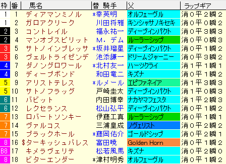 菊花賞2020　枠順確定ラップギア適性値