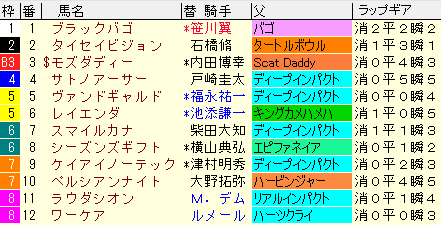 富士Ｓ2020　枠順確定ラップギア適性値