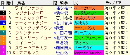 みやこＳ2020　枠順確定ラップギア適性値