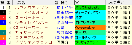 デイリー杯２歳Ｓ2020　枠順確定ラップギア適性値