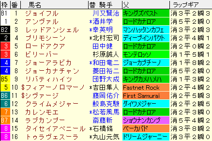 京阪杯2020　枠順確定ラップギア適性値