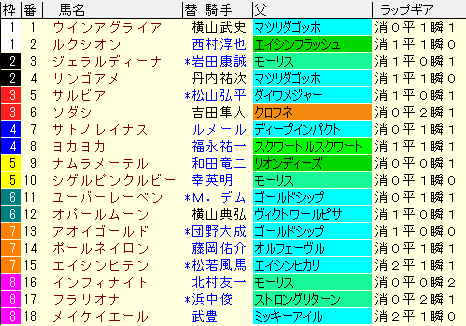 阪神ＪＦ2020　枠順確定ラップギア適性値