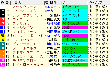 ホープフルＳ2020　枠順確定ラップギア適性値