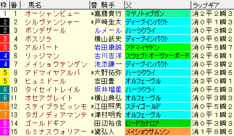 ステイヤーズＳ2020　枠順確定ラップギア適性値