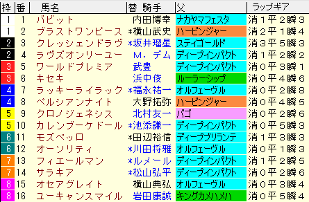 有馬記念2020　枠順確定ラップギア適性値