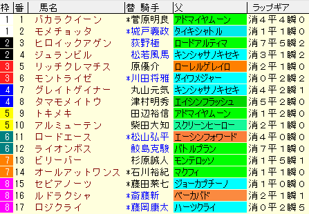 アイビスＳＤ2021　枠順確定　ラップギア適正値