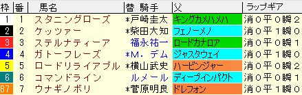 サウジアラビアＲＣ　枠順