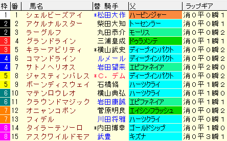 ホープフルＳ 2021　枠順確定