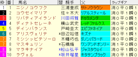 アルテミスＳ2022予想　枠順確定