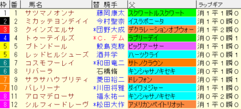 ファンタジーＳ2022予想　枠順確定