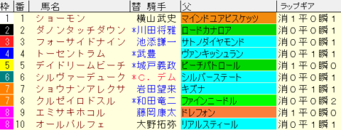 デイリー杯２歳Ｓ2022予想　枠順確定