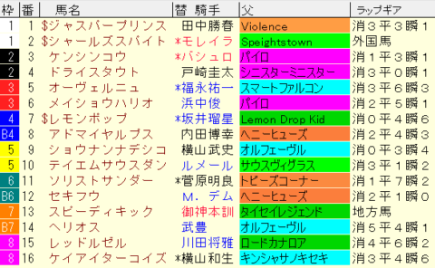 フェブラリーＳ2023予想　枠順確定