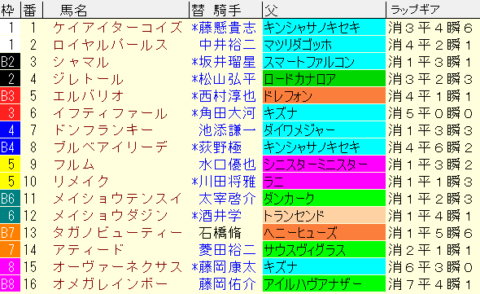 プロキオンＳ2023予想　枠順確定