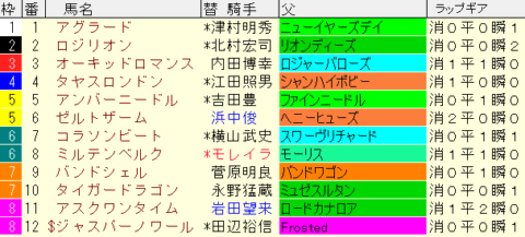 京王杯２歳Ｓ2023予想　枠順確定