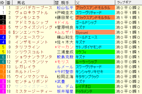 ホープフルＳ2023予想　枠順確定