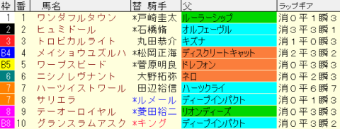 ダイヤモンドＳ2024予想　枠順確定