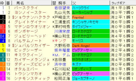 オーシャンＳ2024予想　枠順確定