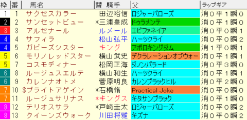 クイーンＣ2024予想　枠順確定
