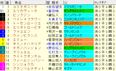 福島牝馬Ｓ2024予想　枠順確定