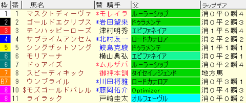 阪神牝馬Ｓ2024予想　枠順確定