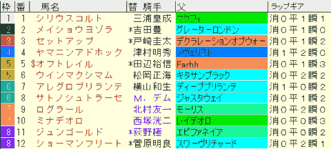 ラジオNIKKEI賞2024予想　枠順確定