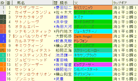 函館スプリントＳ2024予想　枠順確定