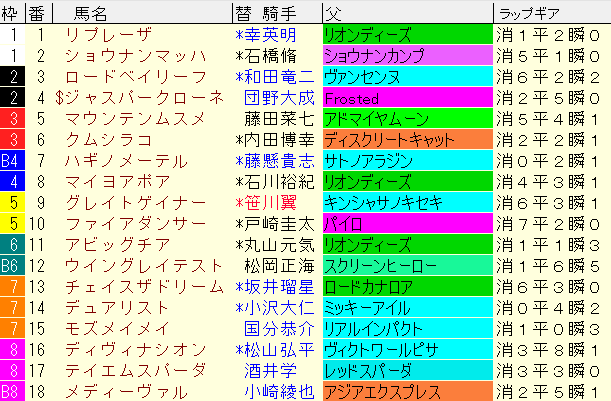 アイビスSD2024予想　枠順確定