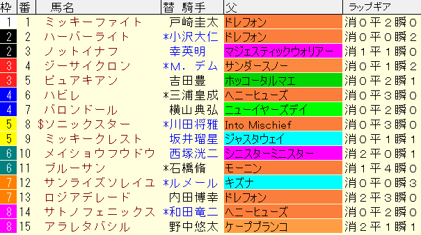 レパードＳ2024予想　枠順確定