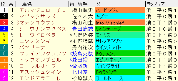 札幌２歳Ｓ2024予想　枠順確定