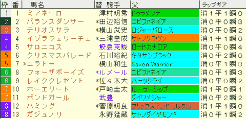 紫苑Ｓ2024予想　枠順確定