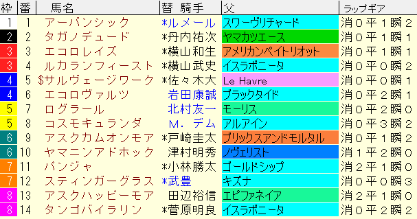 セントライト記念2024予想　枠順確定