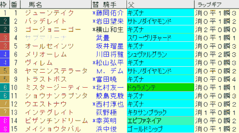 神戸新聞杯2024予想　枠順確定