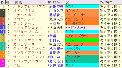 シリウスＳ2024予想　枠順確定