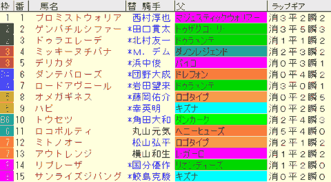 みやこＳ2024予想　枠順確定