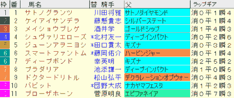 京都大賞典2024予想　枠順確定