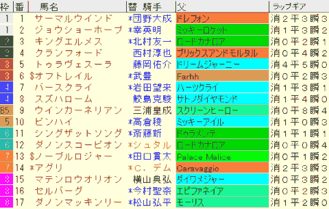 スワンＳ2024予想　枠順確定