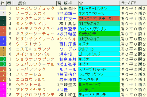 菊花賞2024予想　枠順確定
