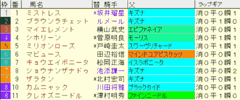 アルテミスＳ2024予想　枠順確定