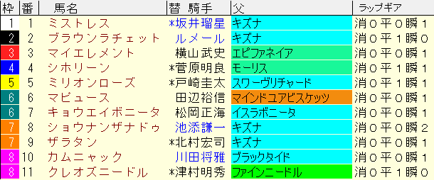 アルテミスＳ2024予想　枠順確定