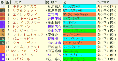京王杯２歳Ｓ2024予想　枠順確定