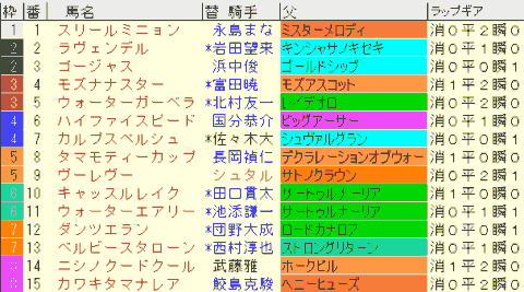 ファンタジーＳ2024予想　枠順確定