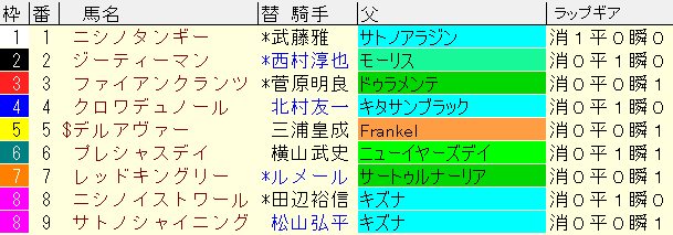 東スポ杯２歳Ｓ2024予想　枠順確定