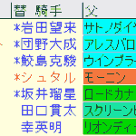 デイリー杯２歳Ｓ2024予想　枠順確定