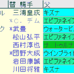 京都２歳Ｓ2024予想　枠順確定