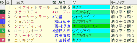 京都２歳Ｓ2024予想　枠順確定