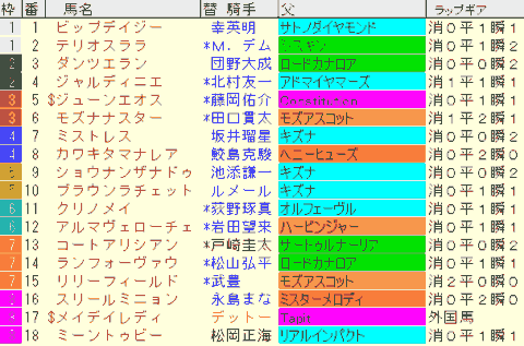 阪神ＪＦ2024予想　枠順確定