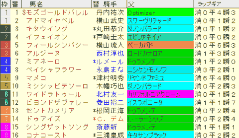 ターコイズＳ2024予想　枠順確定